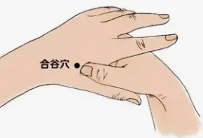 艾香传薪，技启新程｜26514 期大明古艾艾灸师培训班火热进行中！